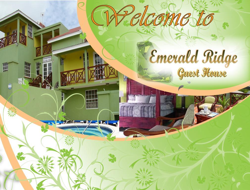 Emerald Ridge Guest House Крайст-Черч Экстерьер фото